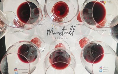 Cata Monastrell España, ¡todo un éxito en Verema!