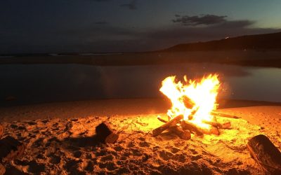 ¡Prepara la noche de Sant Joan, la más mágica y corta del año 🎉🔥  con nuestros deliciosos vinos Monastrell!