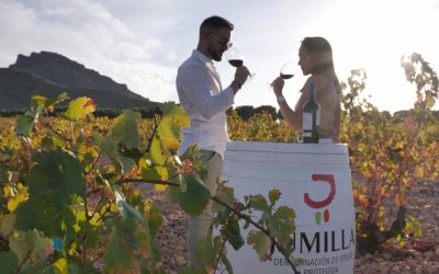 DOP Jumilla – La Cuna de la Monastrell
