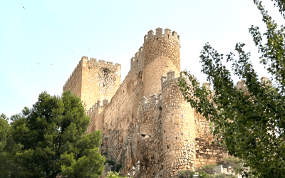 Almansa y Monastrell, una alianza con gran futuro