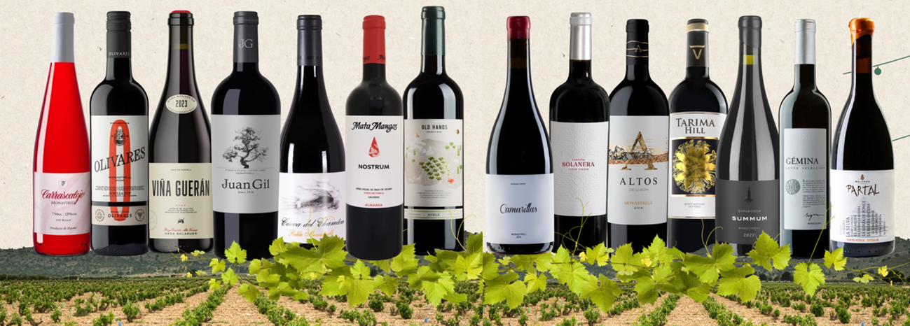 Botellas monastrell
